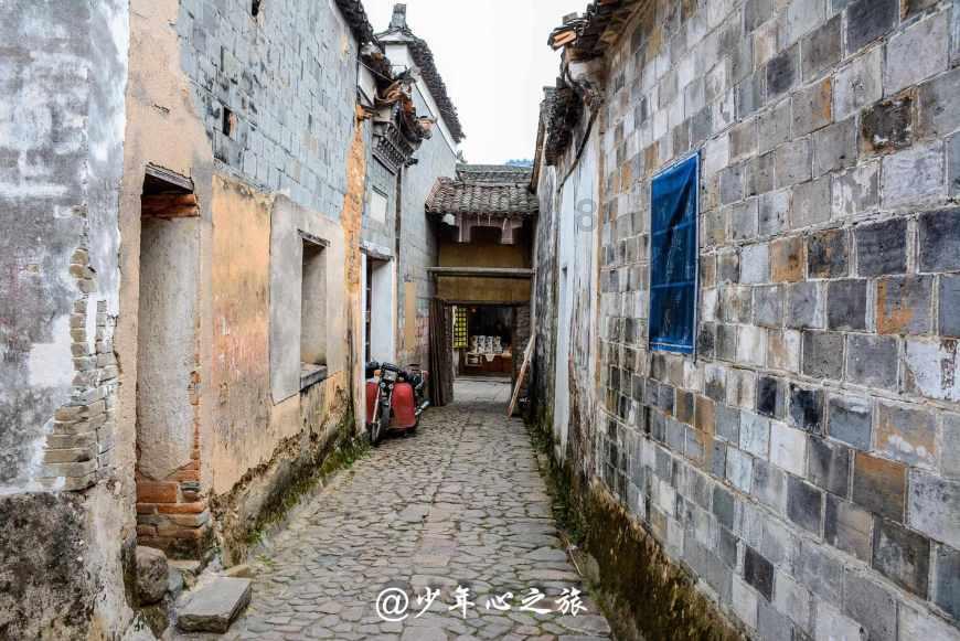 解疑答惑，僵尸3D游戏无限金币版为您解答